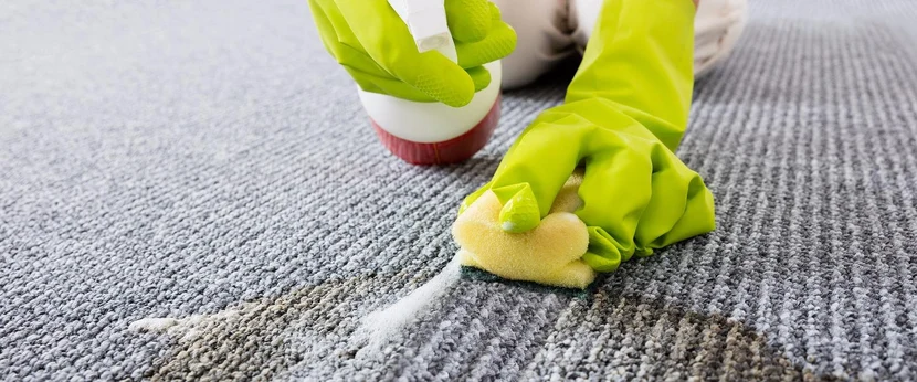 Мы готовы рассмотреть любое загрязнение, которое мешает качеству жизни - отправьте фото или перезвоните и расскажите о проблеме